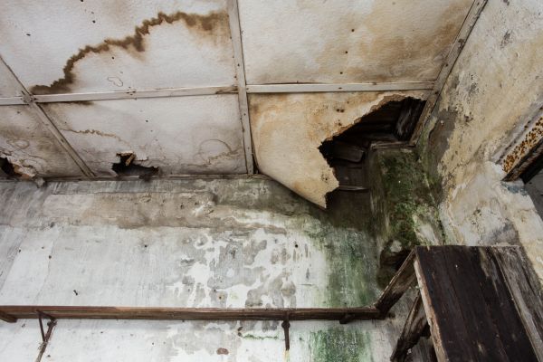 Water Damage Service in Plant City