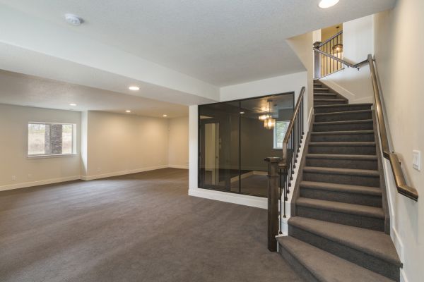 Basement Restoration Service in Plant City