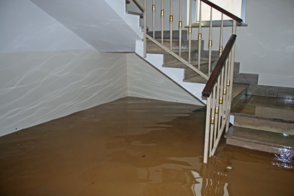 Storm Damage Restoration in Plant City