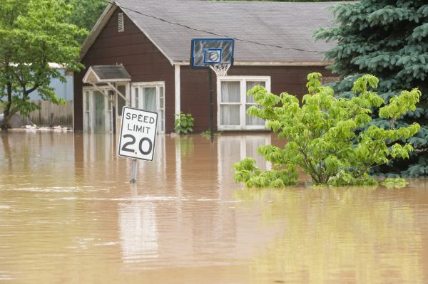 Storm Restoration Service in Plant City