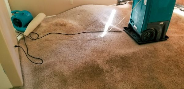 Flood Damage Cleanup in Plant City