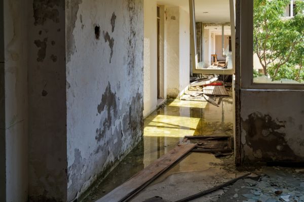Water Removal Service in Plant City