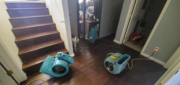 Water Damage Remediation in Plant City