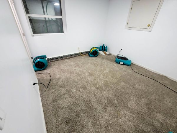 Flood Restoration Service in Plant City
