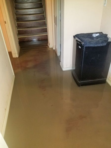 Emergency Water Removal in Plant City
