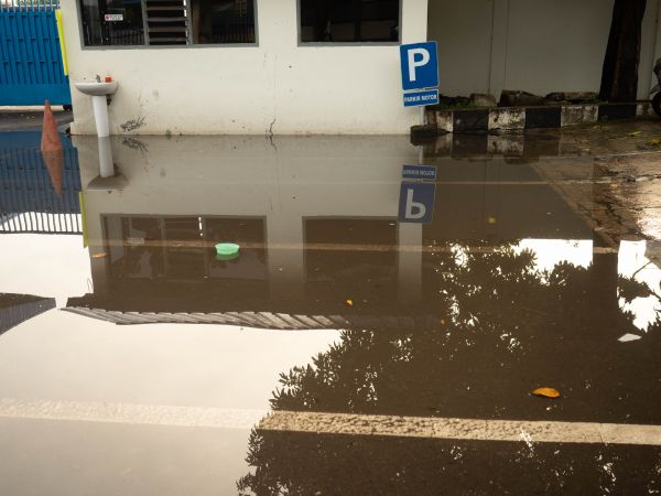 Storm Damage Repair in Plant City