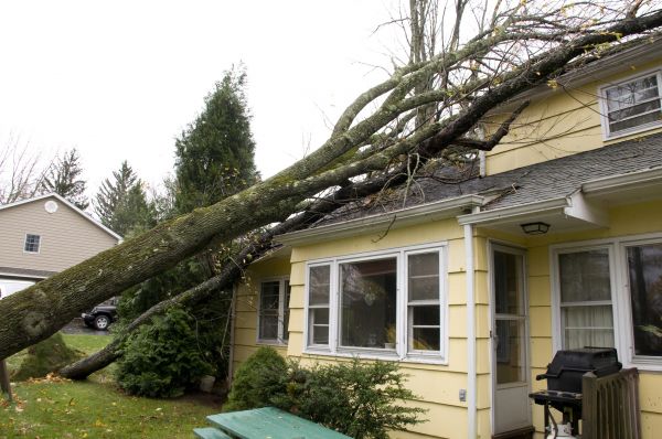 Hurricane Damage Repair in Plant City