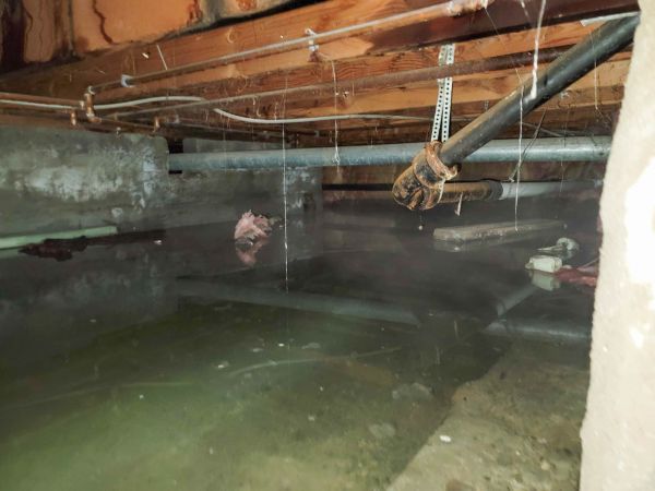 Crawlspace Water Restoration in Plant City