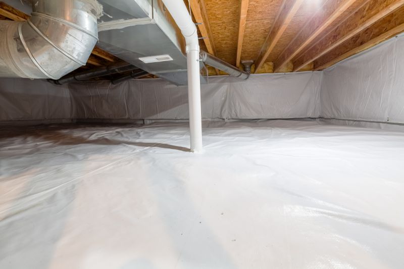 Crawlspace Water Cleanup detail